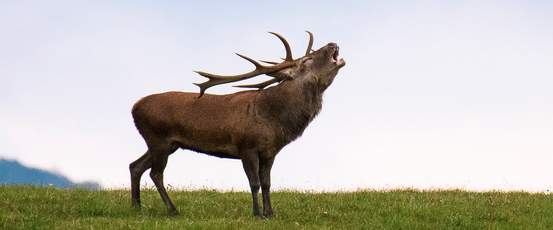 ALLA SCOPERTA DI CERVARA